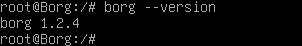 BorgBackUp