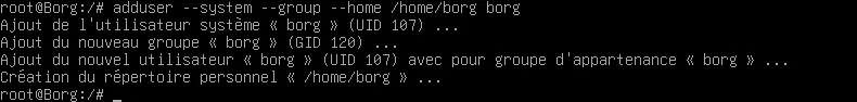 BorgBackUp