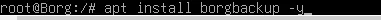 BorgBackUp